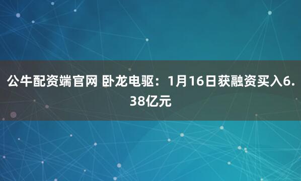 公牛配资端官网 卧龙电驱：1月16日获融资买入6.38亿元