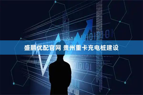 盛鹏优配官网 贵州重卡充电桩建设