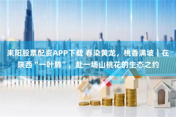 耒阳股票配资APP下载 春染黄龙，桃香满坡｜在陕西“一叶肺”，赴一场山桃花的生态之约