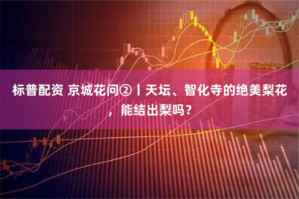 标普配资 京城花问②丨天坛、智化寺的绝美梨花，能结出梨吗？